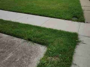 Jaimie G.'s Lawn Mowing service result