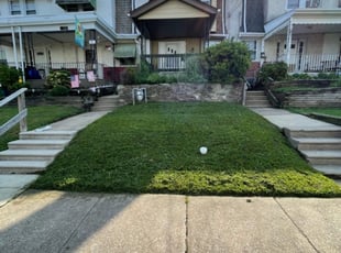 Noel M.'s Lawn Care service result
