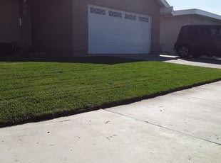 Joseph K.'s Lawn Mowing service result