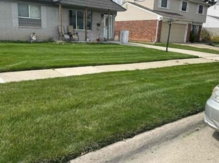 Tammy D.'s Lawn Maintenance service result