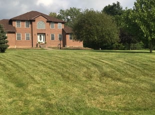 Amy R.'s Lawn Mowing service result