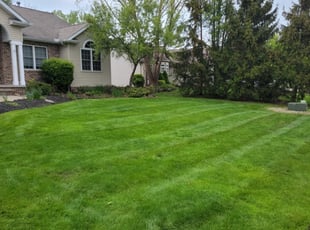 Mallory B.'s Lawn Mowing Service service result