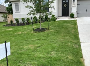 Rachel H.'s Lawn Mowing Service service result