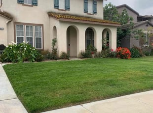 Estelle F.'s Yard Cutting service result