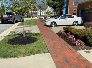Sasha H.'s Lawn Mowing Service service result