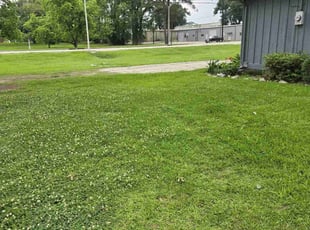 Tony P.'s Lawn Mowing Service service result