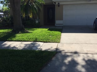 Rachel V.'s Lawn Care service result