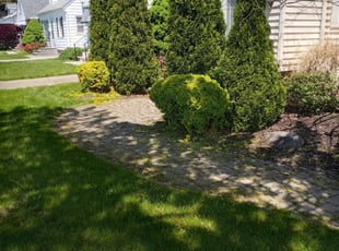 Jane S.'s Grass Cutting service result