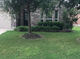 Chendrell T.'s Lawn Care service result
