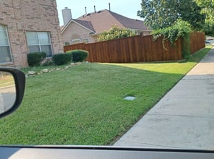 Tashunda B.'s Lawn Mowing service result