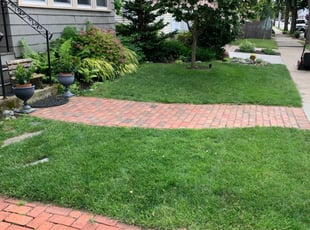 Chris S.'s Lawn Mowing service result