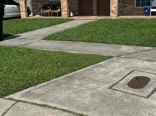Michael M.'s Lawn Mowing Service service result