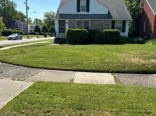 Katriechia J.'s Lawn Maintenance service result