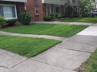 Mark R.'s Lawn Service service result