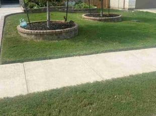 Iris F.'s Yard Cutting service result