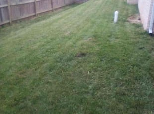 David R.'s Lawn Care service result