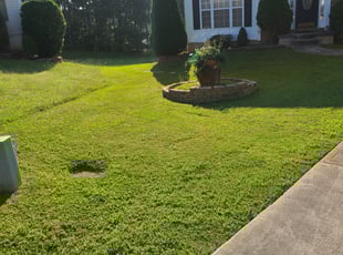 Jean W.'s Lawn Care service result