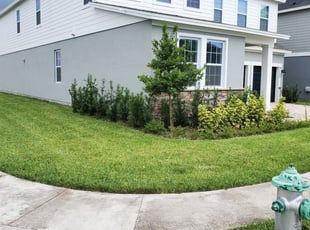 Teresa S.'s Lawn Mowing service result