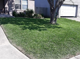 Loretta P.'s Lawn Mowing Service service result