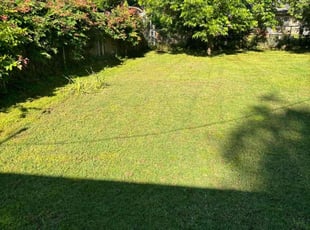 Richard H.'s Lawn Care service result