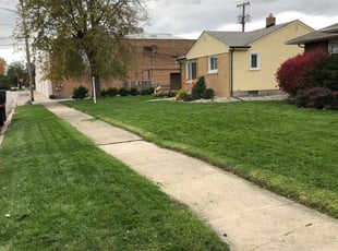 Alice L.'s Lawn Service service result