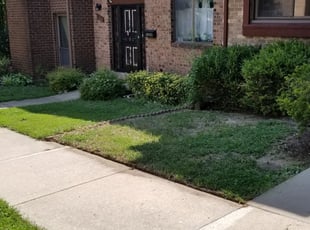 Michael W.'s Lawn Maintenance service result