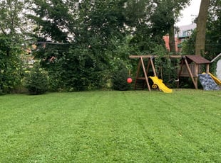 Latoya M.'s Lawn Mowing service result