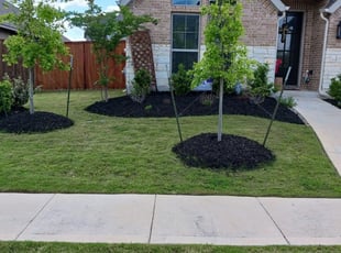 Steven D.'s Lawn Mowing service result