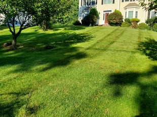 Jewell R.'s Lawn Service service result