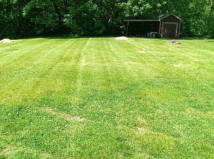 Suzanne T.'s Lawn Mowing service result