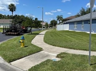 irvin d.'s Lawn Service service result