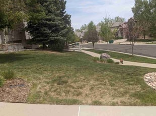 Tim M.'s Lawn Care service result