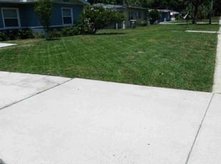 Ann N.'s Lawn Care service result