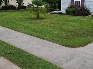 Emily M.'s Lawn Service service result