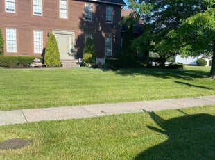 Tiffany C.'s Lawn Maintenance service result