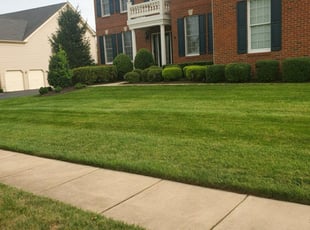 Maria M.'s Lawn Care service result