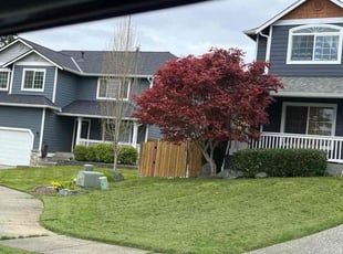 Toymeika D.'s Lawn Service service result