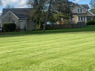 Michael N.'s Lawn Care service result