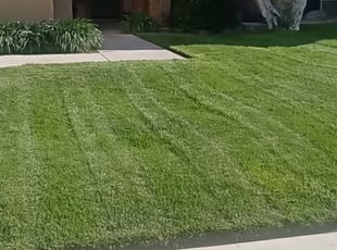 Vernon H.'s Lawn Service service result