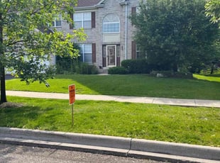 Seth S.'s Lawn Mowing service result