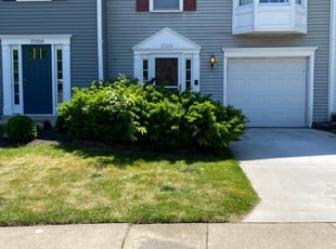 Jason B.'s Grass Cutting service result