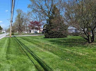 Myra W.'s Yard Cutting service result