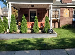 Bernard B.'s Lawn Mowing service result