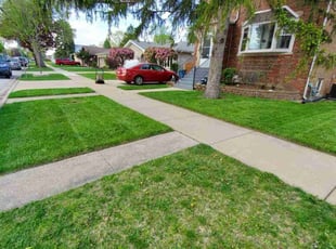 latoria C.'s Lawn Maintenance service result