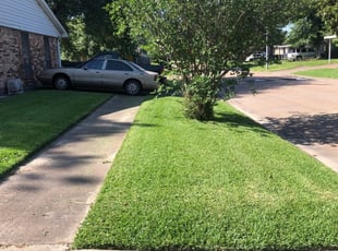 Juanita M.'s Lawn Mowing service result