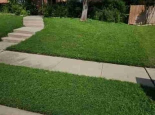 John M.'s Lawn Service service result
