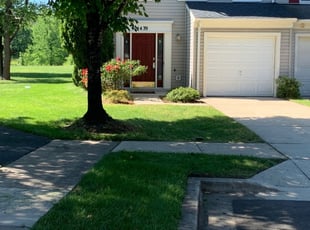 Yvonne S.'s Lawn Service service result