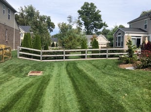 Eric M.'s Lawn Mowing Service service result
