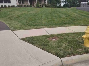 Yohannis G.'s Lawn Mowing service result
