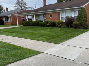 Meadow M.'s Lawn Care service result